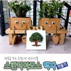 스칸디아모스 액자 만들기(탄소중립)-초록 기본, 단품