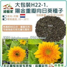 綠藝家 陽金重瓣向日葵種子 17克 株高約80公分