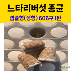 모두다팜 버섯종균 느타리버섯종균 606구 버섯종균 캡슐형 성형 느타리종균 버섯재배 버섯키우기 버섯 접종 버섯키트 버섯배지, 1개