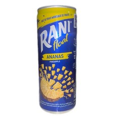 라니플로트 파인애플 RANI FLOAT PINEAPPLE JUICE, 1개, 240ml