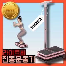 라이트비 팔걸이 포함 덜덜이 진동기구 덜덜이운동기구 진동운동기구 진동운동기, 레드