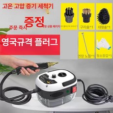 스팀기 녹이기 스팀해빙기 청소 동파 고출력 고압 호스 얼음 청소기 초강력, 220V 영국플러그 3500W 고급, 1개