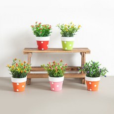 열매 조화 화분 땡땡이 미니토분 set 9cm 4컬러 인테리어 꽃 테이블 장식 소품 꾸미기, 레드