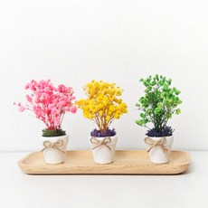 아트박스/에듀팜몰 프리저브드 플라워 안개꽃 미니 화분 만들기 DIY 키트, 퍼플 KIT, 1개