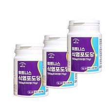 휘트니스팜 식염포도당정, 3개, 100정