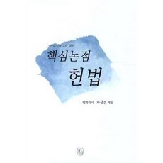 [도서] 핵심논점 헌법, 페이퍼백