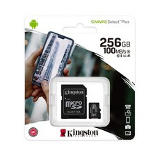 Kingston 金士頓 256GB microSDXC 記憶卡 (100MB/s Plus), 1個, 金士頓【256G】