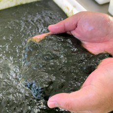완도 찰매생이 생물 매생이 국내산 청정지역 해조류, 400g, 1개