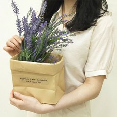 스티커증정 크라프트 빈티지 냉장고정리 봉투 내유 코팅 방수, 페이퍼백, XL_5매