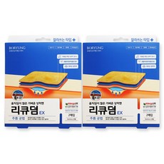 보령 리큐덤 EX 잘라쓰는타입 가벼운 상처, 2개