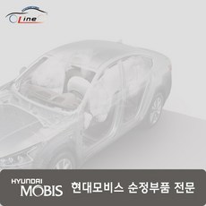 리어 도어 사이드 웨더스트립 몰딩 83134 2D000