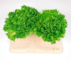 프릴아이스 1통(120g내외) 유러피안 샐러드채소, 프릴아이스 1포기 (120G 내외_, 1개