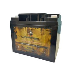 佳騁PirateBattery 電動車電池PB50-12 強效版12V45AH露營擺攤漁船膠體電池, 1個, 1個裝