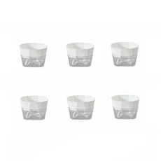 6PCS 뿌리 가시성 수경 재배 용기 물 저장 플라스틱 자체 화분