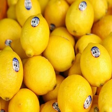 썬키스트 팬시 레몬 신선 과일, 1박스, 1KG(110g 내외)