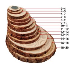 DIY綜合原木材料組：原木片、圓木片、短樹枝、藤圈、乾燥材料、原木切片，適用於幼兒繪畫與拍攝道具, 1個, 直徑3-4厚度1cm(5片)
