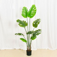 혜문전방 조화 150cm