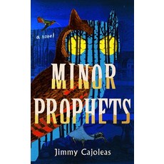 Minor Prophets Hardcover, Harry N. Abrams