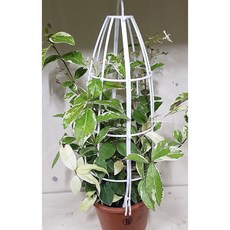 [클릭플라워] 넝쿨식물 넝쿨망 유인망 식물지지대 화분지지대 식물유인망 식물넝쿨망 식물보호대 플라스틱화분망, 2개, 대(55cm)