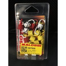義大利MALOSSI離合器小彈簧組【BMW C 650 GT / C600 SPORT 專用】，提升加速、改善震動, 1個