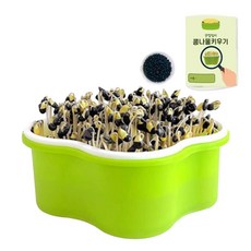 초등과학 체험학습 성장관찰 플라스틱통 콩나물키우기 과학실습 반려식물키우기 암실, 1개