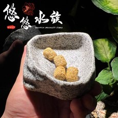 悠悠兩棲爬蟲特寵店 爬蟲角落水盆食盆菜盤 兩棲爬蟲適用 赫曼 蘇卡達 豹龜 餵食器 店長推薦爬蟲器材, 1個, 此批為黑色小號_9*9*2.7cm