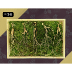 일일산삼 10년근 산삼 파지삼 10뿌리 산양삼 장뇌삼 선물세트, 5개, 10g