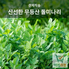 백점마켓 엄선 무등산 돌미나리 산지직송 신선한 제철 봄미나리 향좋은 미나리_1kg 2kg 4kg_백점마켓, 1박스, 1kg
