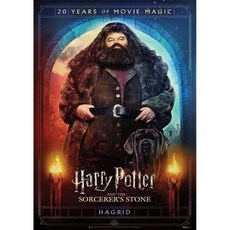 마이티프린트 해리 포터와 마법사의 돌 20주년 – 스네이프 내구성 있는 17인치 x 24인치 벽 예술품 종이로 만들어지지 않음 공식 라이선스 수집품, 해그리드