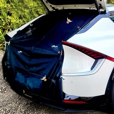 벤비아믹스 기아 EV6 차박 모기장 방충망 창문 썬루프 트렁크 햇빛가리개 차크닉 캠핑 00362, D2 지퍼형 트렁크 M 1개