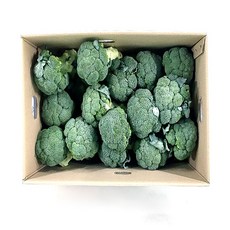 국내산 특품 브로콜리 반박스 4kg 브로컬리 샐러드 가니쉬, 브로콜리 반박스(약 4kg 내외), 1개