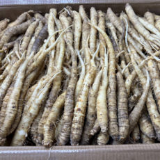 더덕 (소사이즈 ) 신선더덕 세척더덕 피더덕 중국산더덕 수입더덕, 1개, 10kg