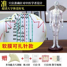 침자리 혈자리 경혈 인체 한방 침구학 인체모형 교육 전신 모형, 구리색남성소프트몰드52cm