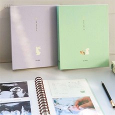 바르시 임신다이어리 초음파앨범 여행포토북, 04 민트