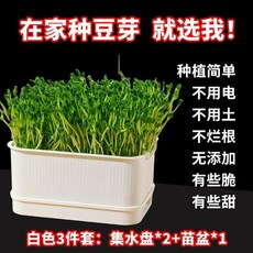 豆芽培養盒 陽臺育苗盆 簡易種植盆, 1個, 簡單種豆芽 白色3件套 集水盤*2+苗盆