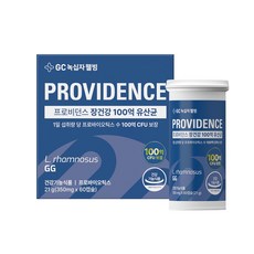 녹십자웰빙 프로비던스 유산균 100억 LGG 임산부 프로바이오틱스 60캡슐, 1개, 60정