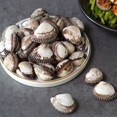 당일조업 벌교 새꼬막 1kg(사이즈 선택), 03.새꼬막 1kg 상(85-95미), 1개