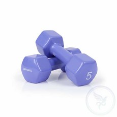 가냥 뷰티 육각 덤벨 아령 5kg 블루베리 2개