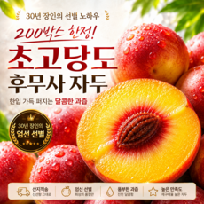 산지직송 꿀 후무사 자두 왕특사이즈 왕특대과 대왕자두, 1박스, 1kg (특과)