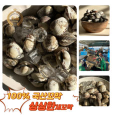 [굿피플] 새꼬막 새꼬막살 벌교꼬막 고막 벌교세꼬막 꼬막비빔장 참꼬막, 1박스, 새꼬막 1kg 중