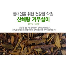 천연원료 산해랑 겨우살이(곡기생)중국산300g