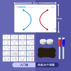 어린이 20pcs 왼쪽 오른쪽 두뇌 개발 장난감 전체 사고 훈련 교육 모터 에이즈 퍼즐 색상, 01 basic