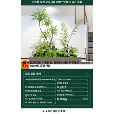조경 조형물 사무실 실내장식 가든 장식 야외 화단 연못, 중대형 난디나무 A 2-2.5m A