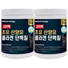 웰핏 고단백 초유 산양유 콜라겐 단백질, 500g, 2개