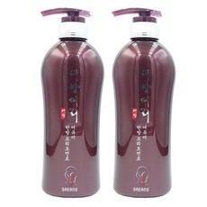 새앙머리 한방 어유미 한방 트리트먼트, 2개, 500ml