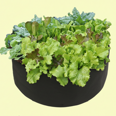 베란다 텃밭 부직포 화분 80x30cm 블랙 대형 가든백 상추 모종 가벼운 용기, 1개, 상세페이지 참조