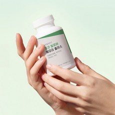 중장년 60대 징코은행잎추출물 대용량6개월분 기억력인지력 혈행개선 활력에너지 항산화건강