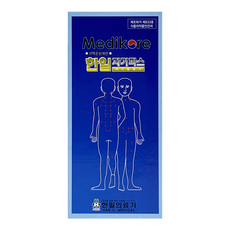 한일의료기 자석파스 자기파스 100매입, 1개