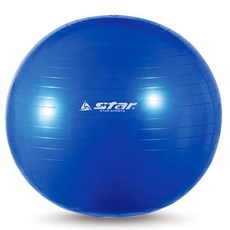 레비바 짐볼 EB240-07 블루 55cm 1개 트레이닝