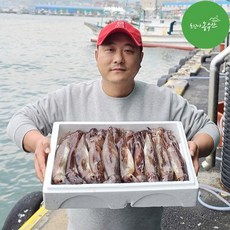 [최고다농수산] 주문진 당일조업 산오징어 선동오징어 초코오징어통찜 생물 활 오징어회, 원양산 반건조오징어 특대 10마리, 1개, 1.5kg내외